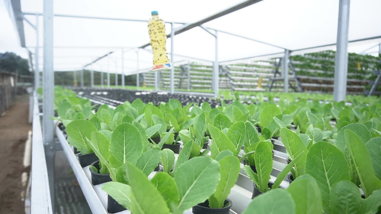 Pesantren intensif ramadhan